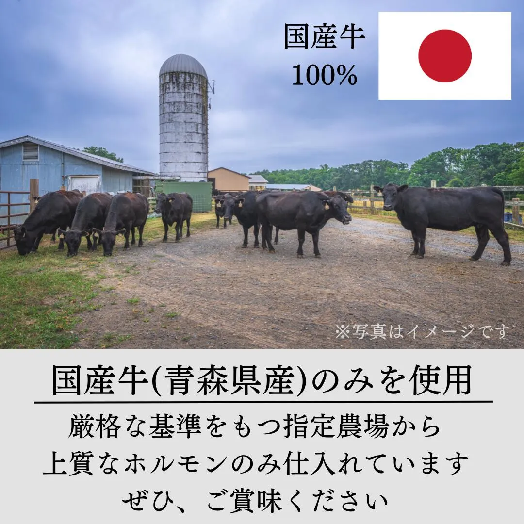 指定農場厳選の国産牛100％使用