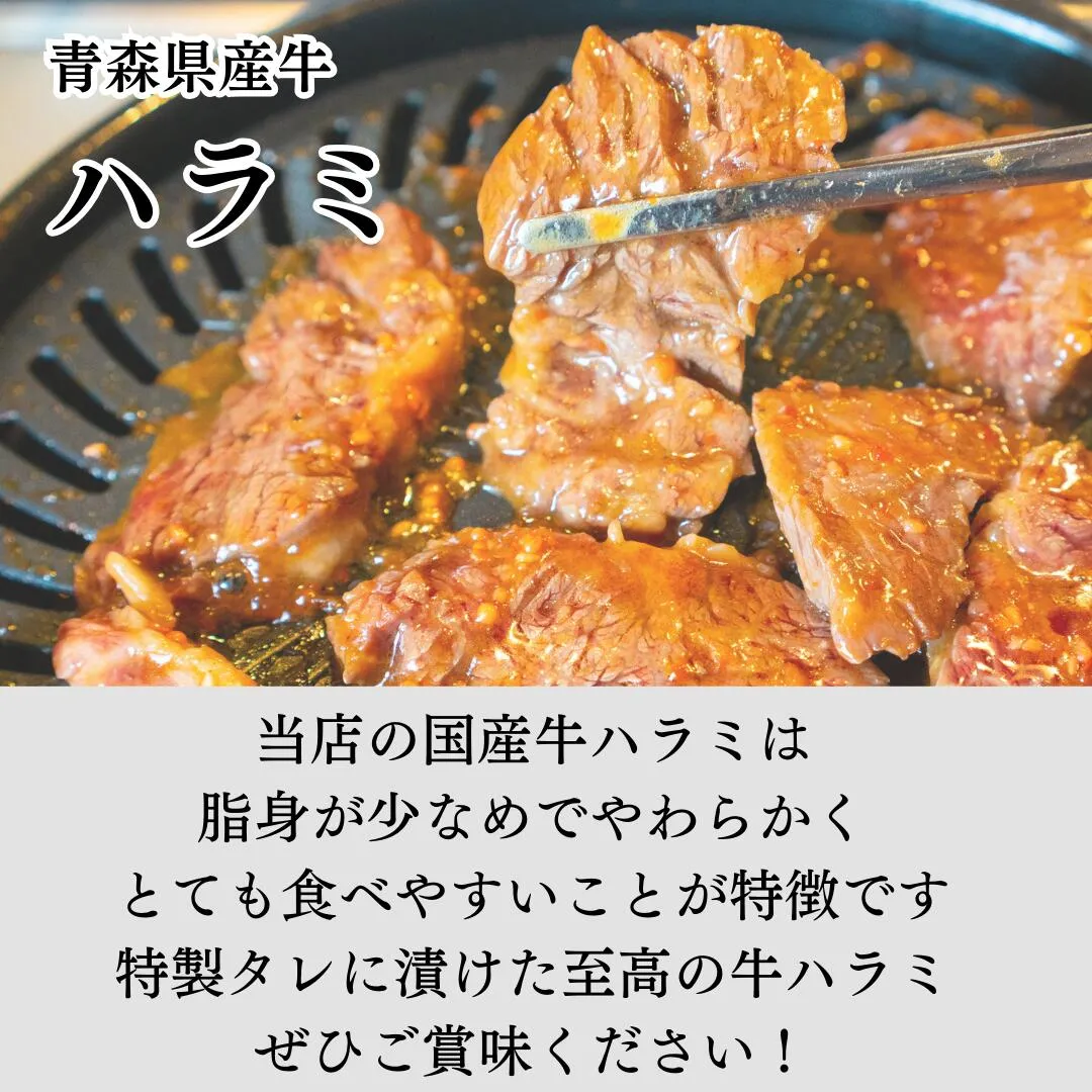 おためしセット内容3：牛ハラミ100g