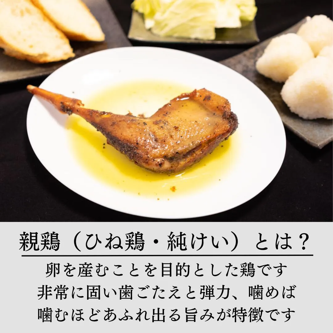 親鶏について