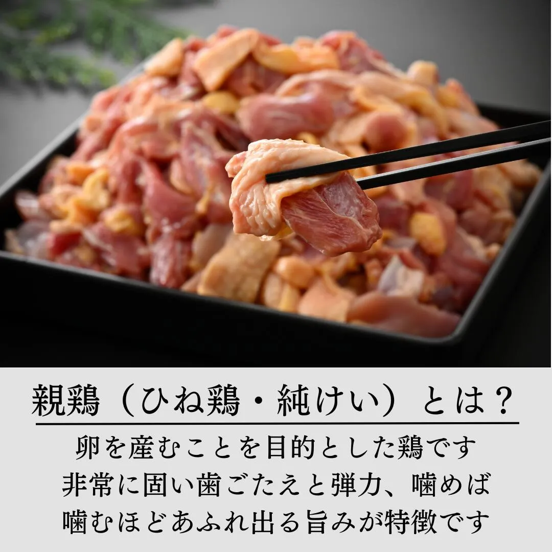 親鳥(ひねどり・純けい)とは?